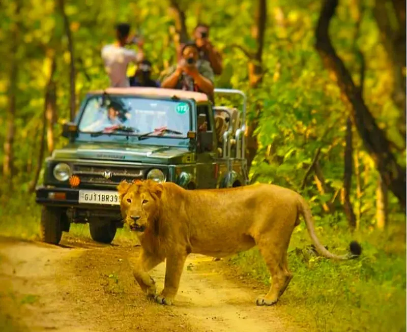 UTTRAKHAND TOUR
